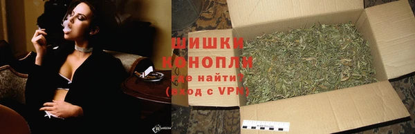 apvp Аркадак