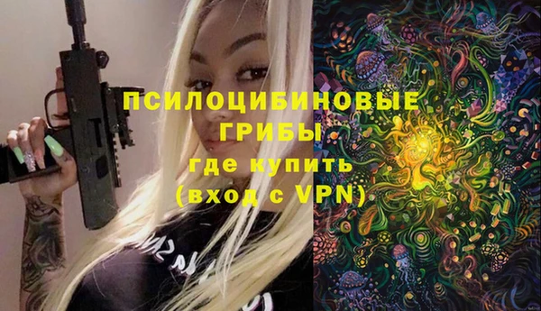 a pvp Арсеньев