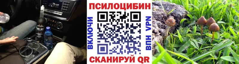 Псилоцибиновые грибы Psilocybine cubensis Белокуриха